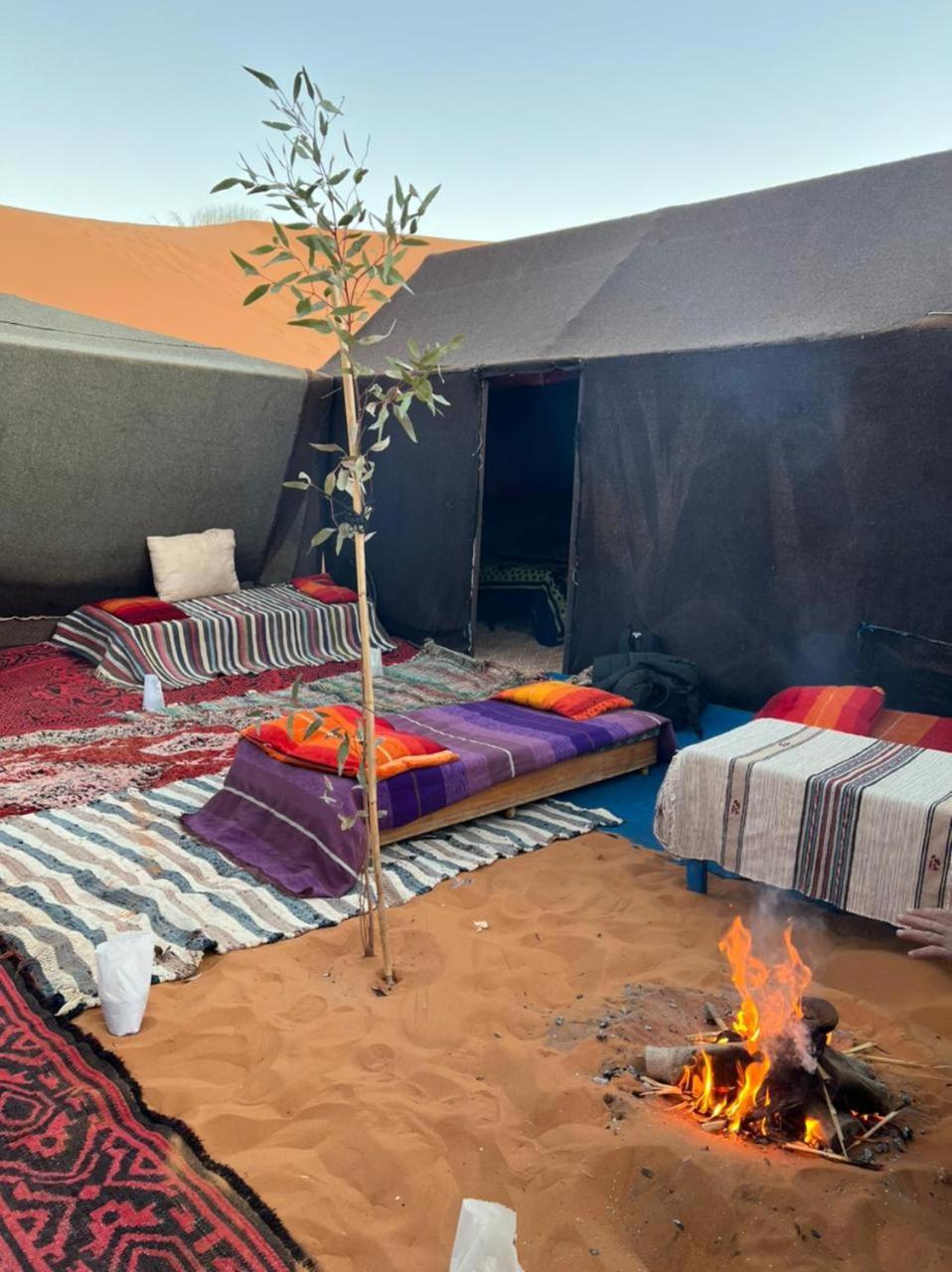 Gambi Camp * Adrouine